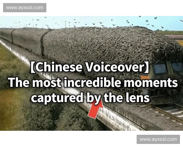 镜头捕捉：阿尔梅里亚门将神勇扑救后激动捶打草皮的瞬间